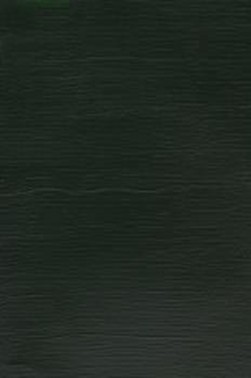 Winsor & Newton Galleria Acrylic: Hookers Green 250ml