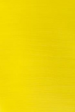 Winsor & Newton Galleria Acrylic: Lemon Yellow 250ml