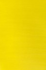 Winsor & Newton Galleria Acrylic: Lemon Yellow 250ml