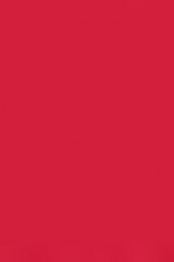 Sakura Koi Coloring Brush Pen: Vermilion