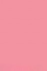 Sakura Koi Coloring Brush Pen: Pink