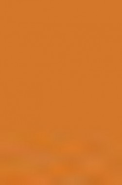 Sakura Koi Coloring Brush Pen: Raw Sienna