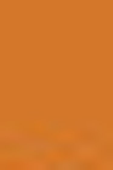 Sakura Koi Coloring Brush Pen: Raw Sienna