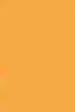 Sakura Koi Coloring Brush Pen: Orange