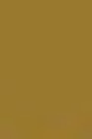 Sakura Koi Coloring Brush Pen: Raw Umber