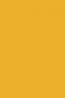 Picasso Oil: Yellow Mid 180ml