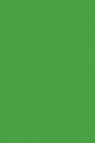 Picasso Oil: Emerald  Green 170ml