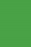 Picasso Oil: Emerald  Green 170ml