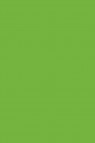 Picasso Oil: Yellow Green 170ml