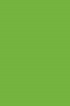 Picasso Oil: Yellow Green 170ml