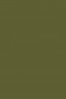 Picasso Oil: Olive Green 170ml