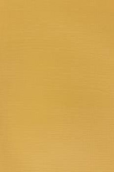 Winsor & Newton Galleria Acrylic: Naples Yellow 60ml