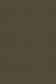 Picasso Oil: Raw Umber 180ml