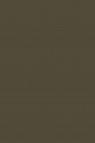 Picasso Oil: Raw Umber 170ml