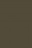 Picasso Oil: Raw Umber 170ml
