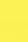 Maries Master Oil: Cadmium Lemon Yellow 212 60ml