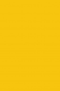 Maries Master Oil: Cadmium Yellow 213 60ml