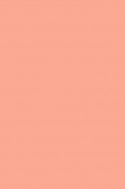 Maries Master Oil: Flesh Tint (Portrait Tone) 219 60ml