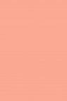Maries Master Oil: Flesh Tint (Portrait Tone) 219 60ml