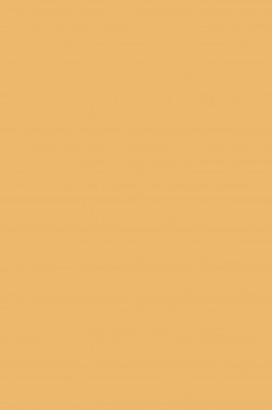 Maries Master Oil: Gold Light 135 60ml