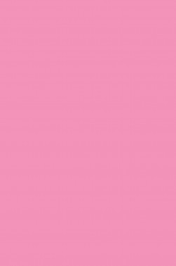 Maries Master Oil: Magenta Light 303 60ml