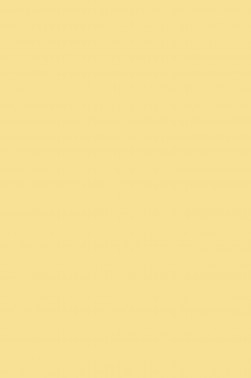 Maries Master Oil: Naples Yellow 210 60ml