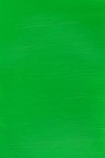Winsor & Newton Galleria Acrylic: Permanent Green Light 250ml