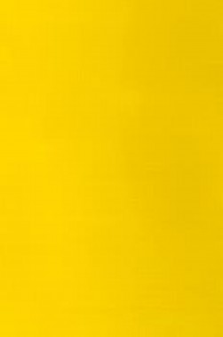 Winsor & Newton Galleria Acrylic: Process Yellow 60ml