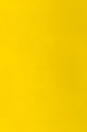 Winsor & Newton Galleria Acrylic: Process Yellow 60ml