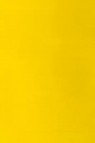 Winsor & Newton Galleria Acrylic: Process Yellow 60ml