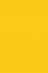 Maries Master Oil: Transparent Yellow 60ml