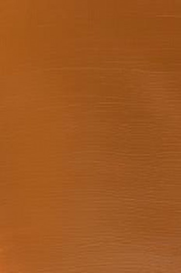 Winsor & Newton Galleria Acrylic: Raw Sienna 60ml
