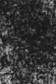 Lefranc & Bourgeois: Conte Soft Pastel Black