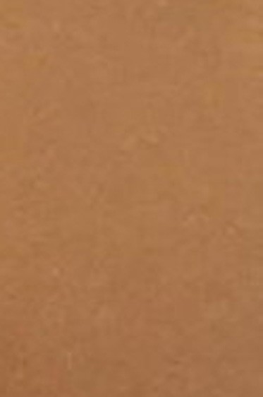 Lefranc & Bourgeois: Conte Soft Pastel Light Brown