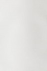 Winsor & Newton Galleria Acrylic: Titanium White 250ml