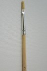 Eterna Brush: Pure Bristle Flat 1