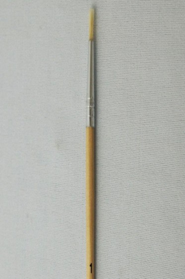 Eterna Brush: Pure Bristle Round 1