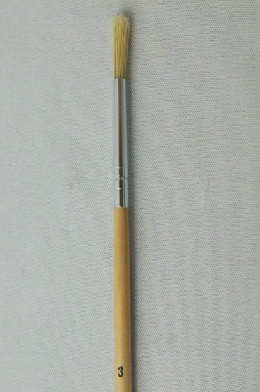 Eterna Brush: Pure Bristle Round 3