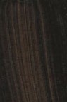 Golden Fluid Acrylic: Van Dyke Brown 118ml