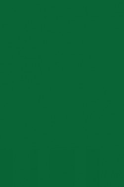 Cernit Oven Hardening Modeling Clay: Number One Green 56g