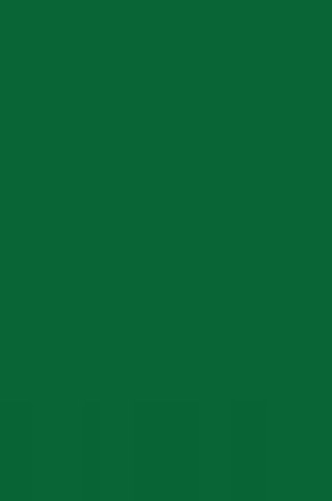 Cernit Oven Hardening Modeling Clay: Number One Green 56g