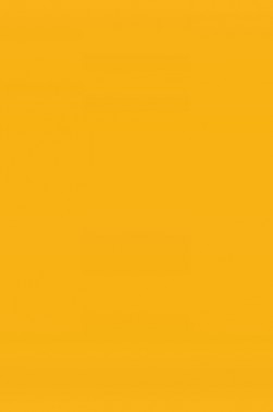 Cernit Oven Hardening Modeling Clay: Neon Light Orange 56g
