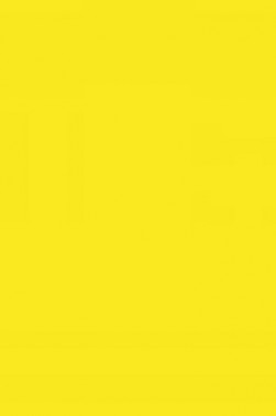 Cernit Oven Hardening Modeling Clay: Neon Light Yelolow 56g