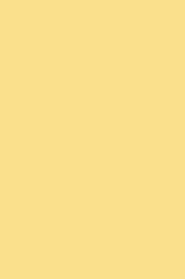 Proto Polymer Clay: PM14 Lemon Yellow 50g