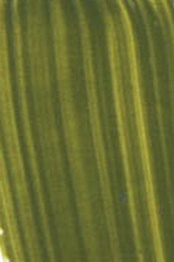 Golden Fluid Acrylic: Green Gold 118ml