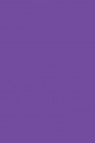 Proto Polymer Clay: PM20 Purple 50g