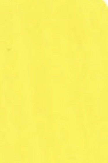 Golden Fluid Acrylic: Hansa Yellow Light 118ml