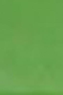 Encaustic Paint: Cadmium Green 40ml