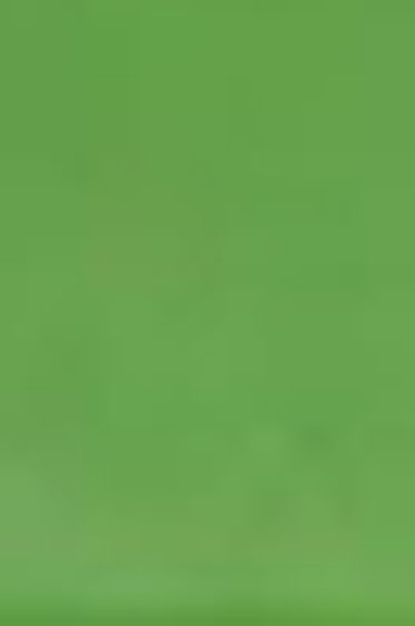 R&F Encaustic Paint: Cadmium Green 40ml