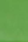 Encaustic Paint: Cadmium Green 40ml